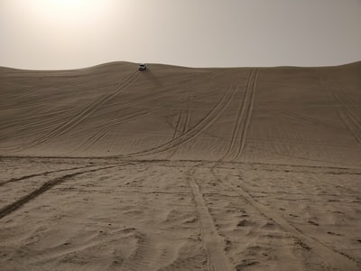 Dune landscape
